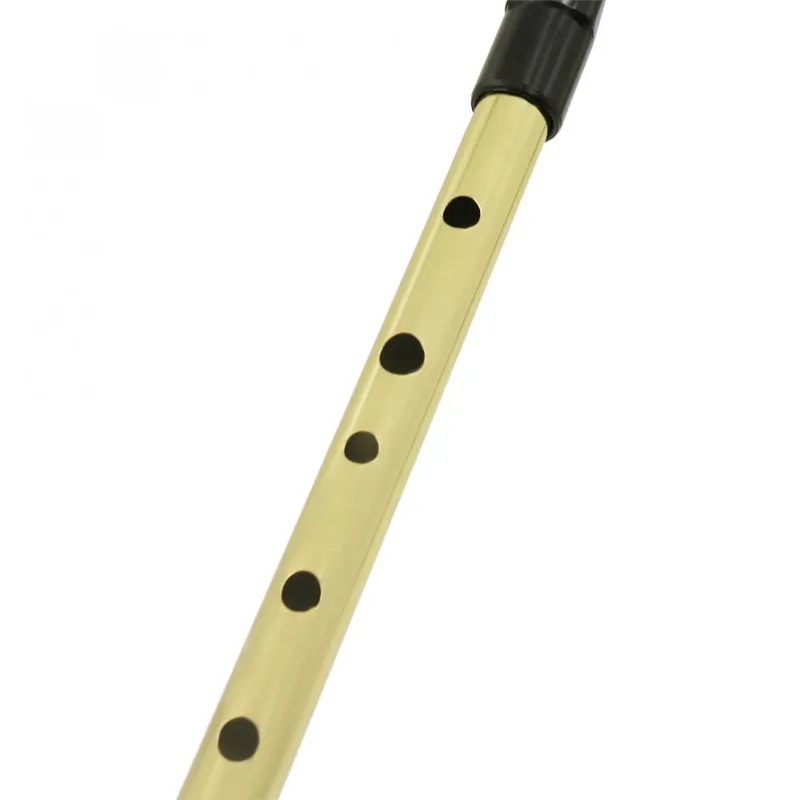İrlandalı düdük Soprano flüt D - Musical Instrument Irish incelemesi ve fiyatı