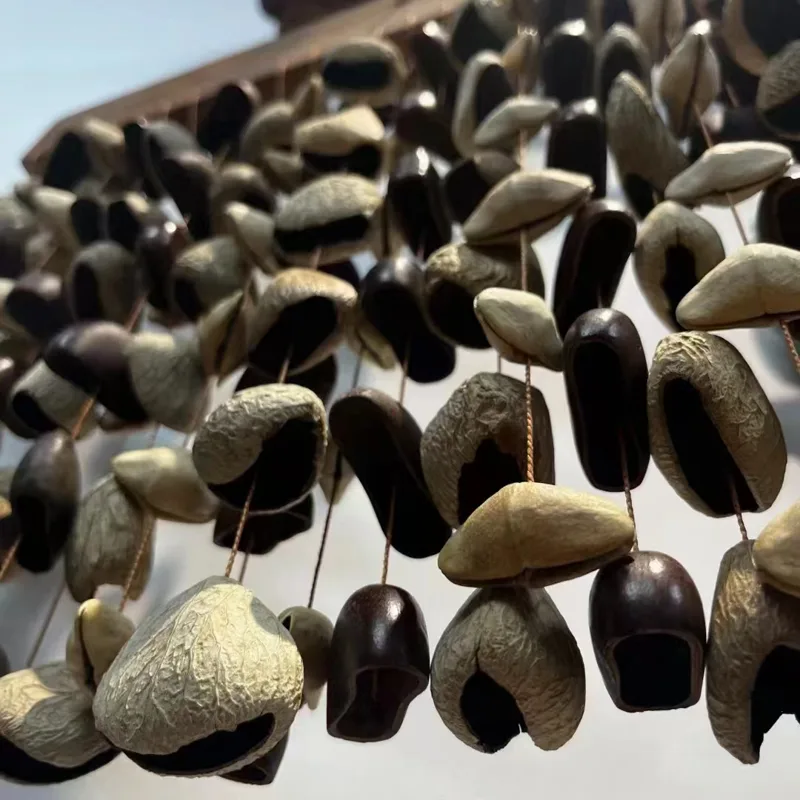 Meyve kabuğu meditasyon çanlar - Musical Instrument Rattle incelemesi ve fiyatı