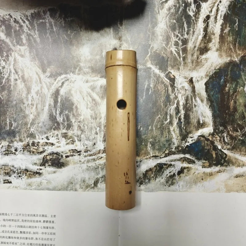 Başlangıç Seviyesi Şakuhachi S - Musical Instrument Irish incelemesi ve fiyatı