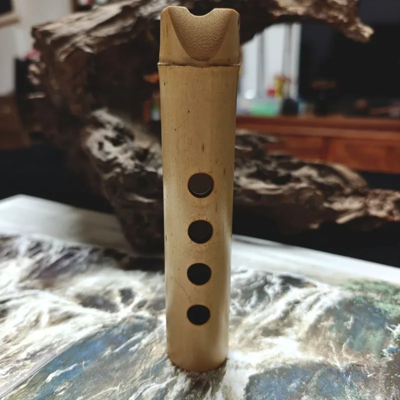 Başlangıç Seviyesi Şakuhachi S - Musical Instrument Irish incelemesi ve fiyatı