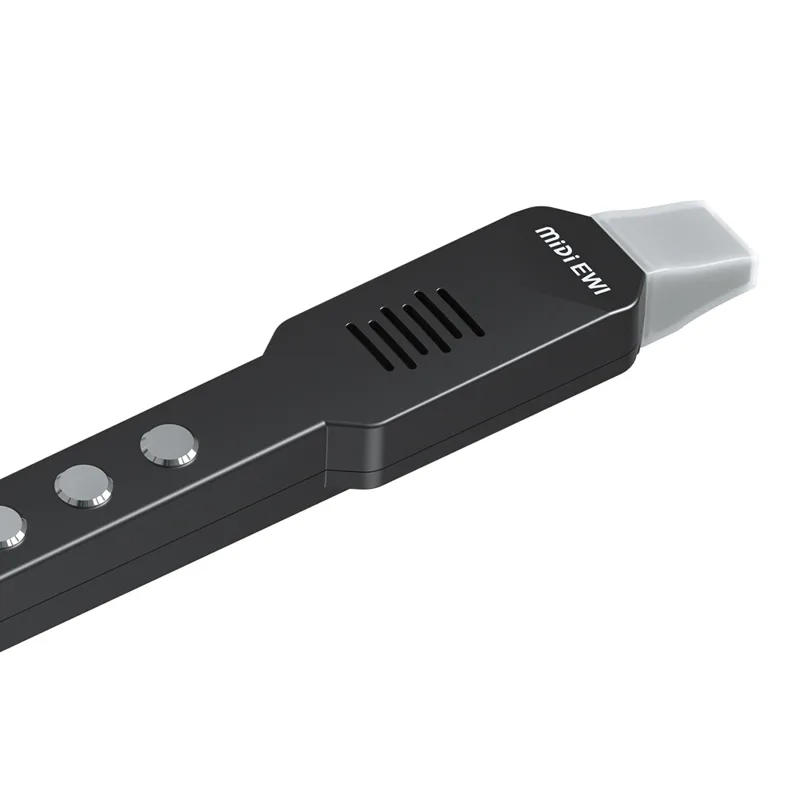 Küçük Enine Flüt Elektronik Ne - Musical Instrument Irish incelemesi ve fiyatı